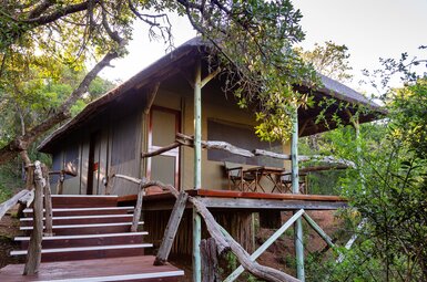 Tree Tops Safari Lodge 8