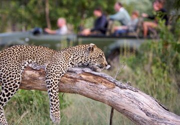Sabi Sand Game Reserve