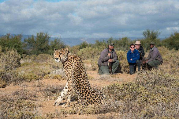 Sanbona Wildlife Game Reserve