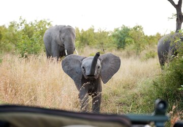 Singita Private Game Reserve