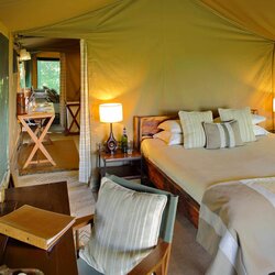 Family Luxury Tents 