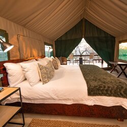 Safari Tent