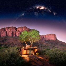 Thabametsi Treehouse