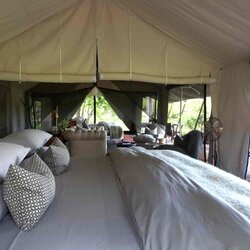 Luxury Family Tent