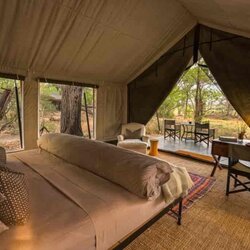 Luxury Tent