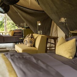 Luxury Family Suite