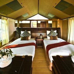 Luxury Safari Tent
