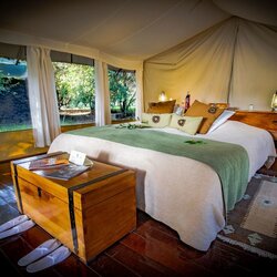 Luxury Canvas Tent 