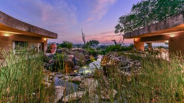 Sabi Sabi Earth Lodge