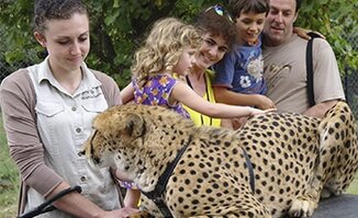 Moholoholo Wildlife Rehabilitation Centre