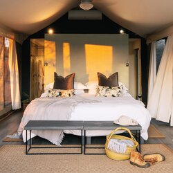 Luxury Safari Tent