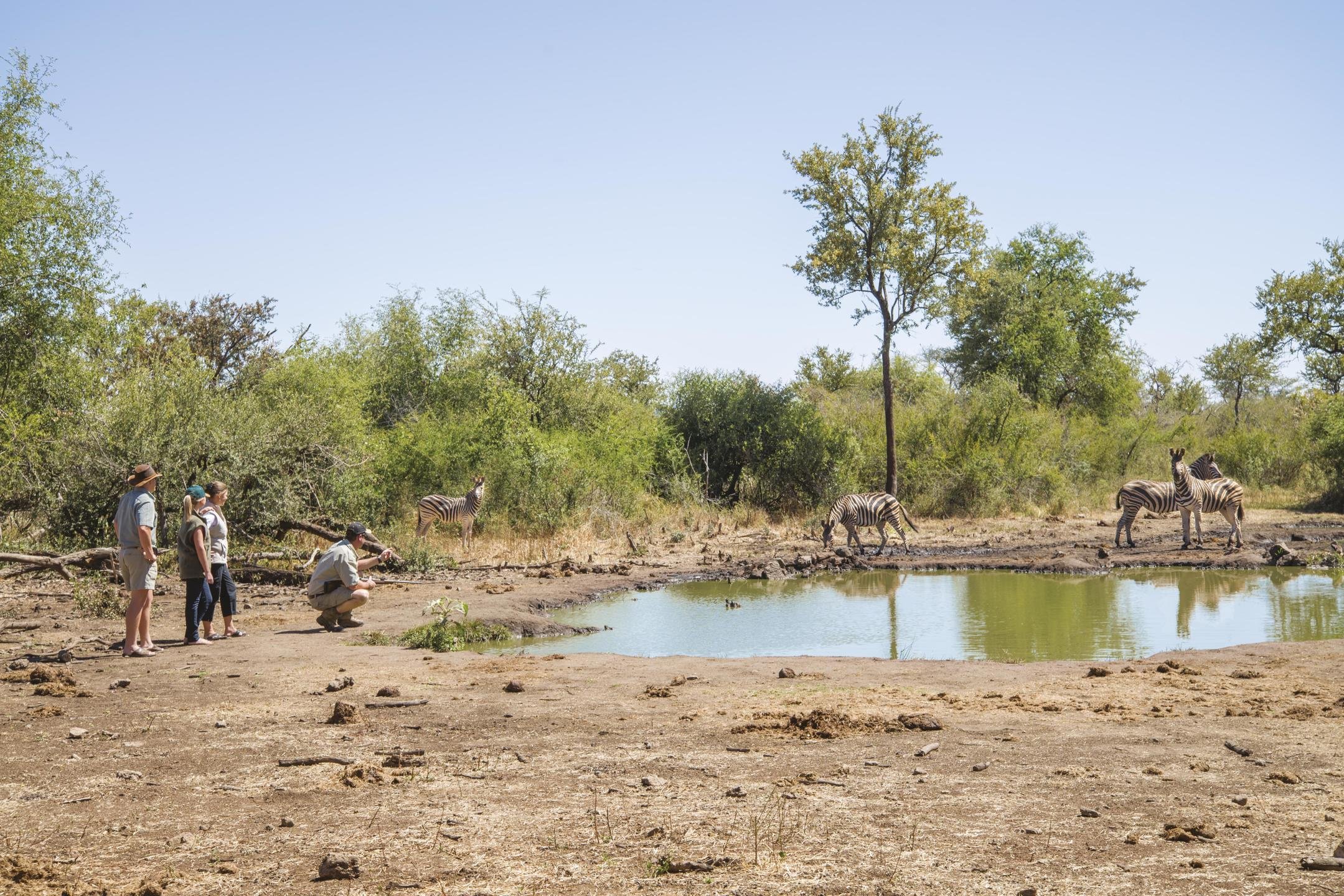 8 Night Madikwe To Cape Escape