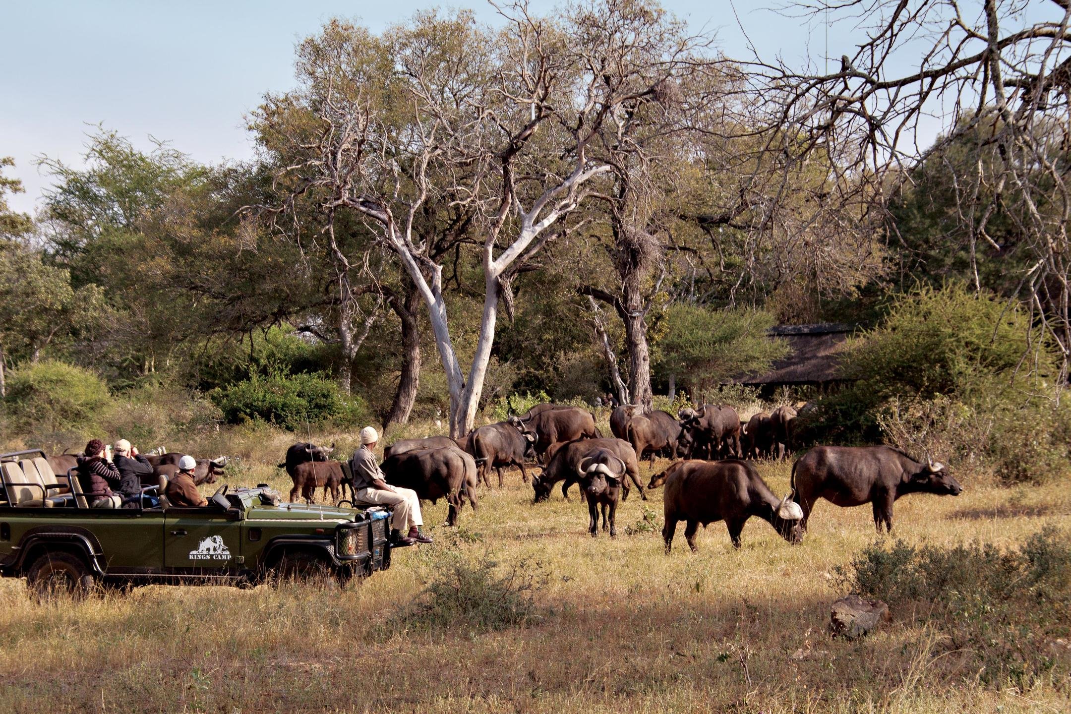 9 Night Kruger To Cape Luxury Escape