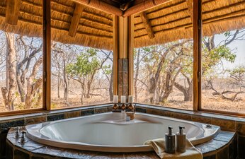 Thornybush Jackalberry Lodge Honeymoon Special