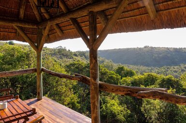 Tree Tops Safari Lodge 4