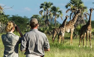 Walking Safaris
