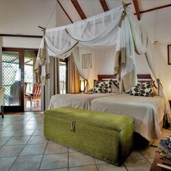 Safari Suite