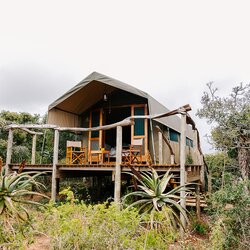 Luxury Safari Tent
