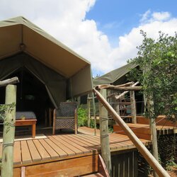 Luxury Safari Family Tent
