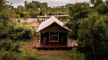 Honeyguide Khoka Moya