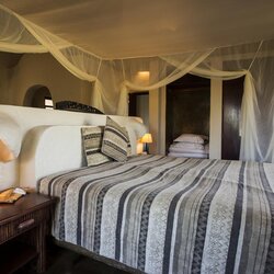 Private Cheetah Camp