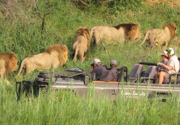 Lion Sands Game Reserve