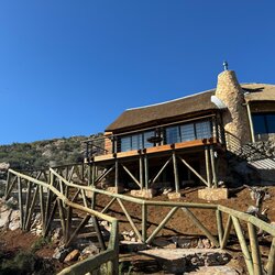 Deluxe Safari Cottage