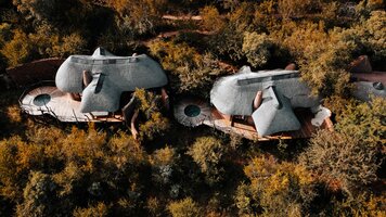 Madikwe Safari Lodge