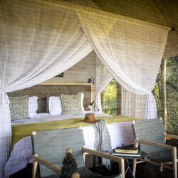 Luxury Safari Tent