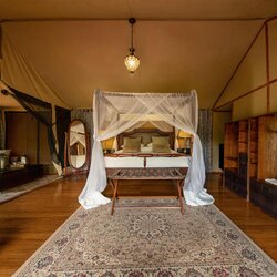 Safari Tent