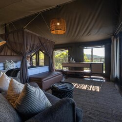Safari Tent