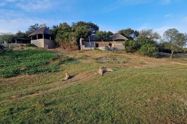 Safari Lodge 2