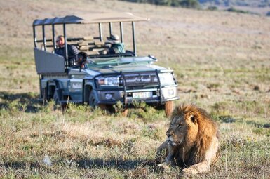 Safari Lodge 5