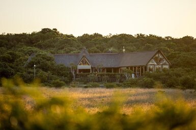 Bush Lodge 4
