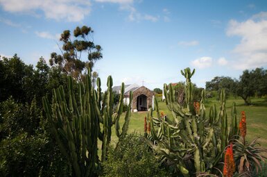 Leeuwenbosch Country House 3