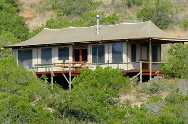HillsNek Safari Camp – Amakhala Game Reserve