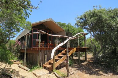Woodbury Tented Camp – Amakhala Game Reserve