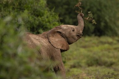 Woodbury Tented Camp 18