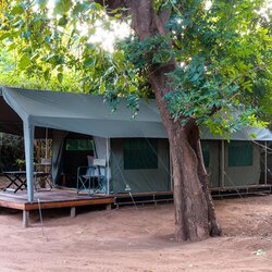 Nkula Walking Camp Tent