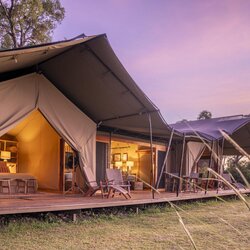 Family Tents