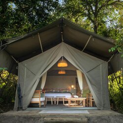 Luxury Tents 