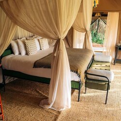 Guest Tent (Twin/Double)