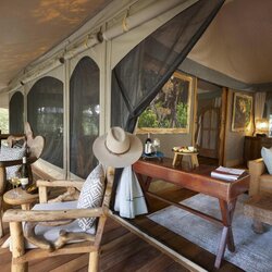 Tented Suites