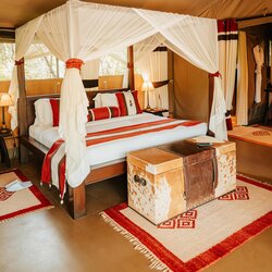 River-facing tents