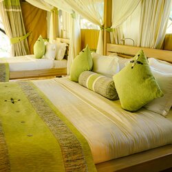 Forest-Facing Tents