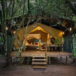 Safari Tent