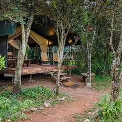 Family Tent