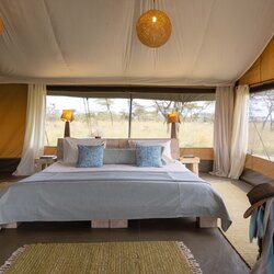 Tents