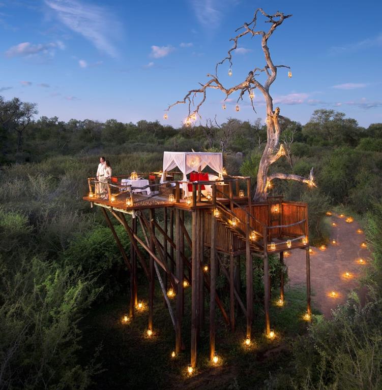 The Top Rated Treehouse Safari Lodges in Kruger and Sabi Sands Game reserve &ndash; Kruger National Park